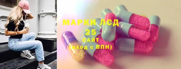 PSILOCYBIN Мегион