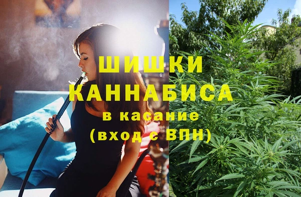 PSILOCYBIN Мегион