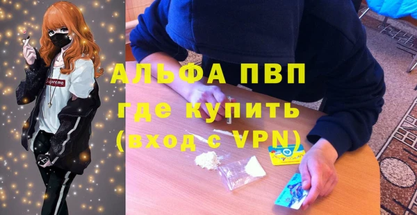 PSILOCYBIN Мегион