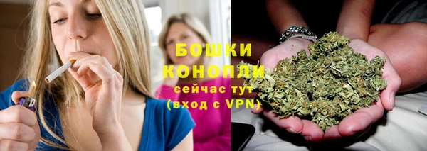 PSILOCYBIN Мегион