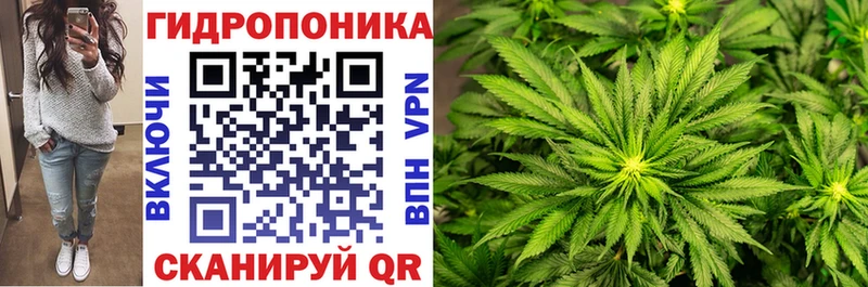 Купить где  Саров  Бошки марихуана OG Kush 